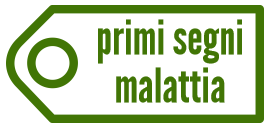 valoreinrsa primisegni