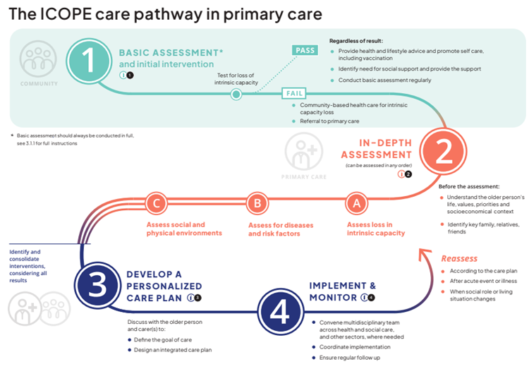 fasi della strategia ICOPE immagine rappresenta le fasi della strategia ICOPE